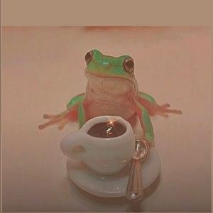 Meet your Posher, Deahna